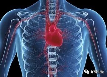 重磅推出最新欧洲共识解读：：高尿酸血症和高心血管风险患者的诊断和治疗专家共识（2018）